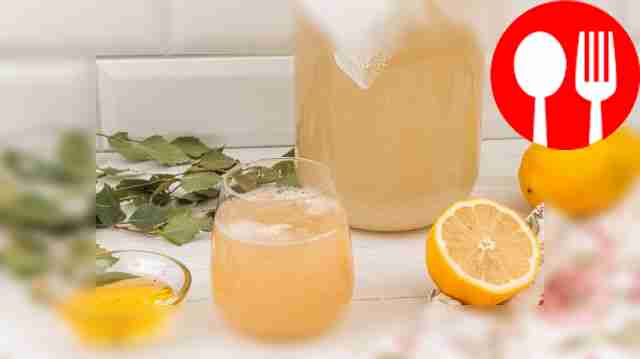 Квас из березового сока